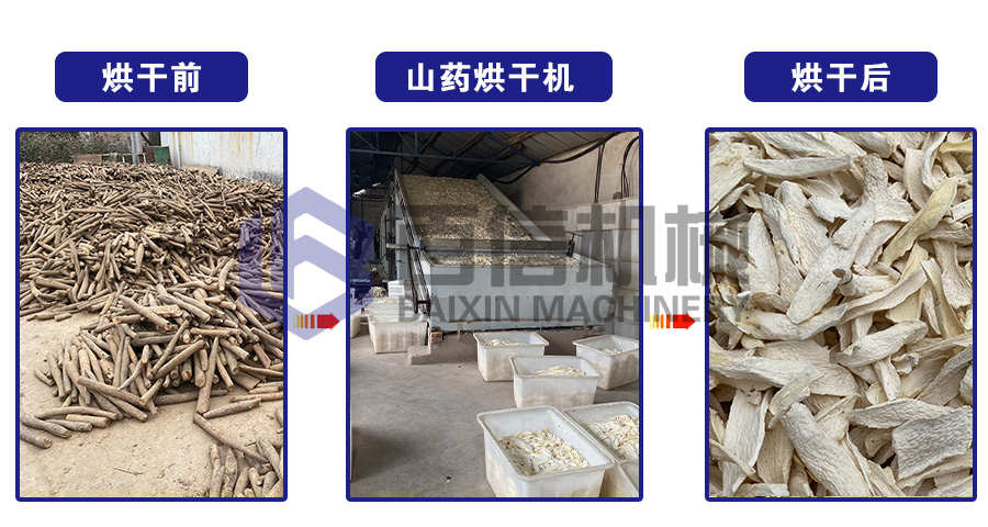 山藥烘干機
